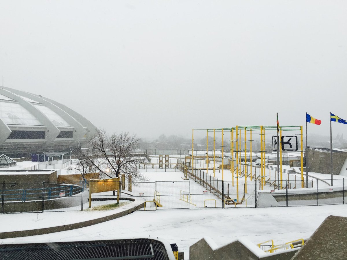 Première neige dans le parc!