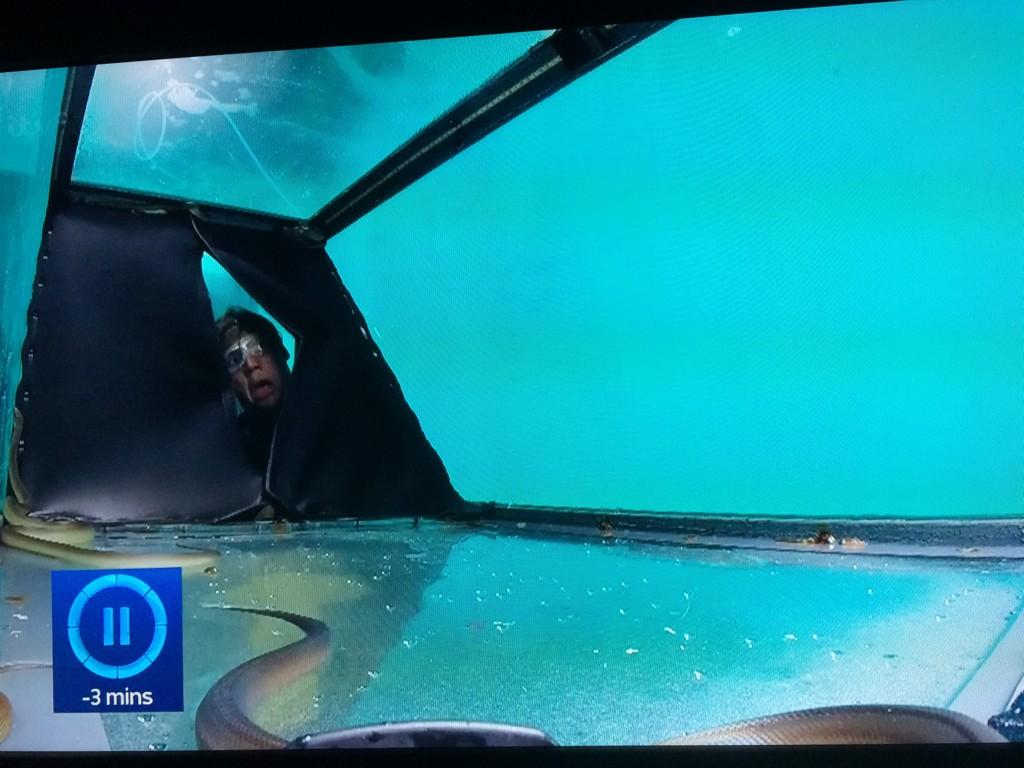 Matty_Dave's tweet photo. 😂😂😂 @imacelebrity @jimmybullard http://t.co/H1ck2icOxI