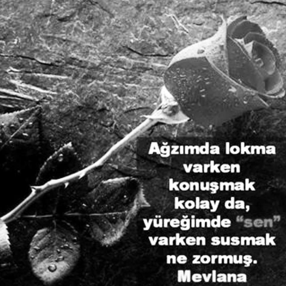 4121Serkan's tweet photo. http://t.co/iQIKoXaBTC