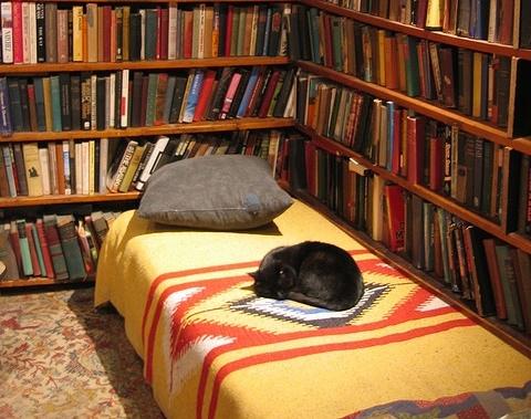 Lit_Books's tweet photo. Shakespeare and Co. offers beds to aspiring writers.

Book heaven in Paris* @Shakespeare_Co* http://t.co/guOEWjXMfH