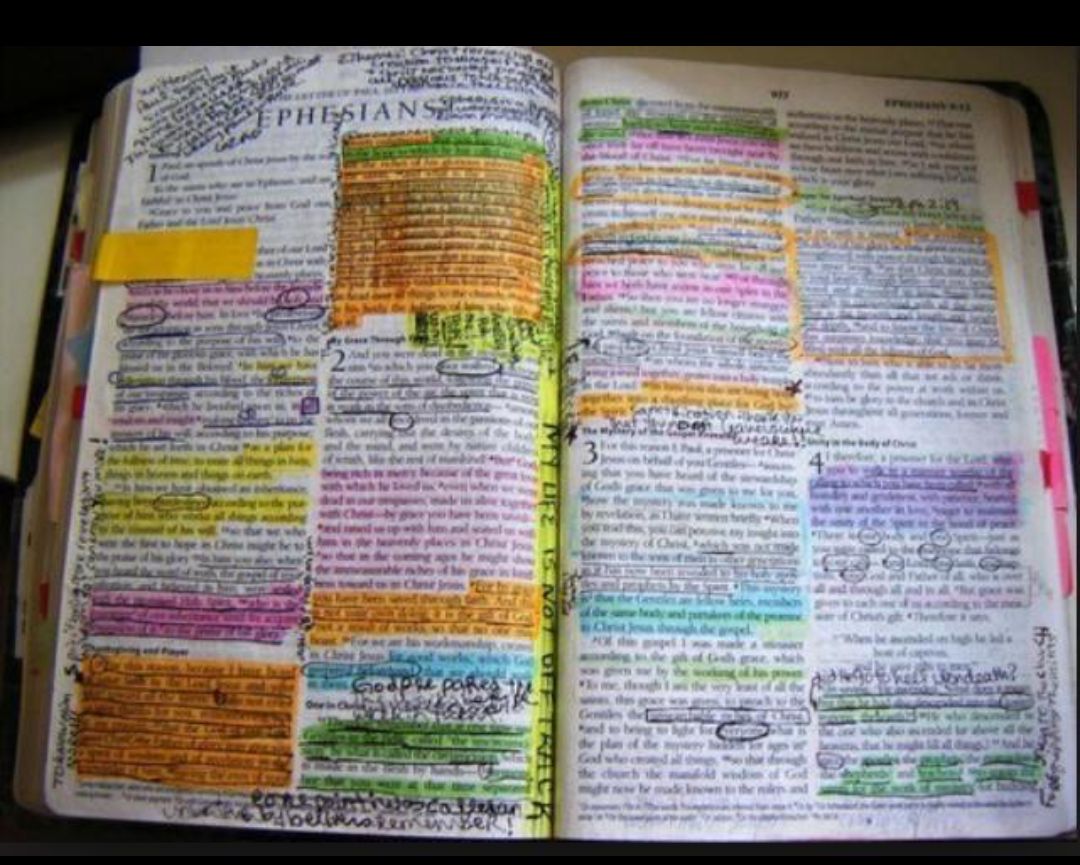 SamanthaWhite27's tweet photo. Life goal #everypage. http://t.co/RXrul4GN40