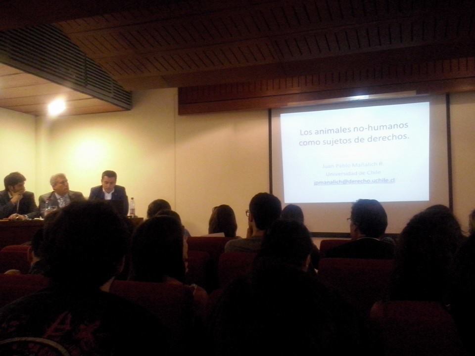 rdiazcastillo's tweet photo. Excelente el Foro de hoy del Grupo #DerechoyDefenzaAnimal. sobre "El Cambio de Estatus Jdco de los #Animales" #UChile http://t.co/n6vF1BGq14