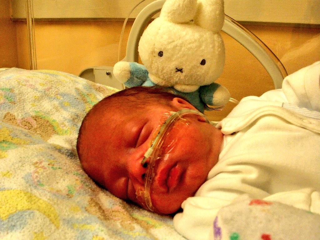 nickynuyou's tweet photo. @Miffy_UK can't thank Miffy enough for helping my son through #NICU! He was by his side all the way! #WPD2014 http://t.co/Nk0F0HfmZn