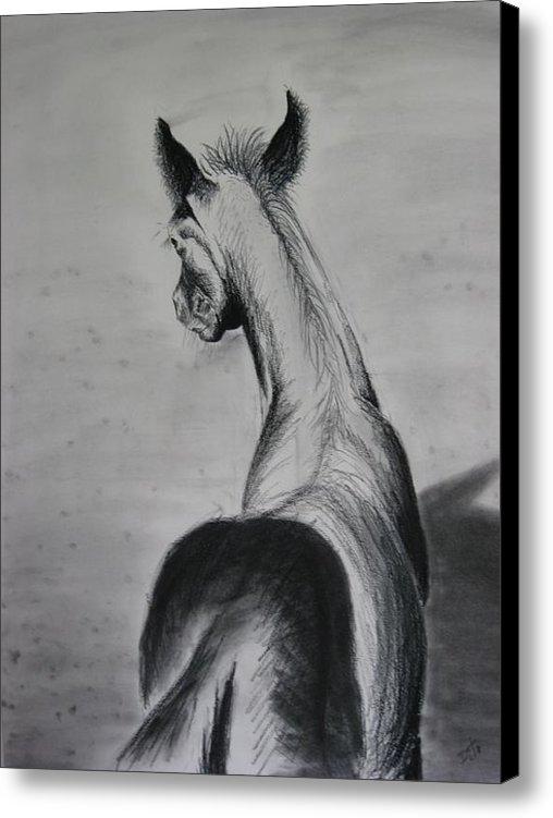 h5wcreations's tweet photo. New artwork for sale! - "Coal Foal" - http://t.co/oUKwMxuMkP @fineartamerica http://t.co/wQLGtv5T72