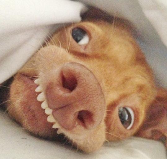 Barbara_Gonsa's tweet photo. Que duros los lunes..😓  #BuenasNoches http://t.co/WUmZYuqxSN