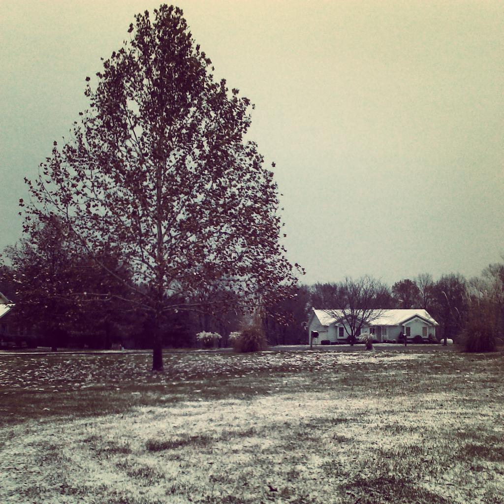 angela_rue's tweet photo. Dusting of snow :) #letitsnow http://t.co/5bQIuKGlew