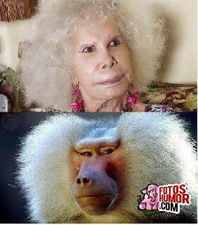 SonParecidos tweet picture