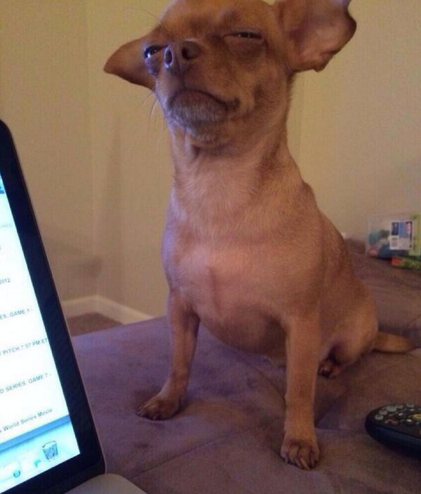 When your parents are all of a sudden being nice