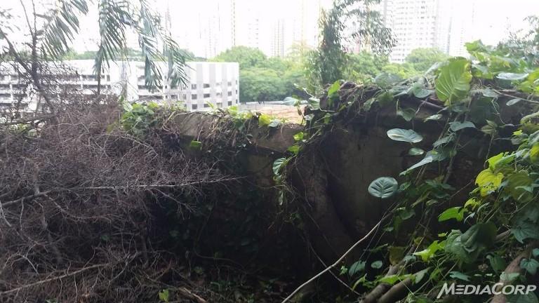 Embedded image permalink