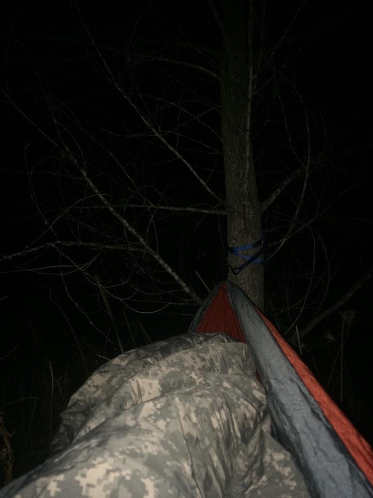 SkylarKoenitzer's tweet photo. Just saw the brightest shooting star of my life! #TrueWonder #LeonidsMeteorShower @ENOHammocks http://t.co/Rs0RxXiSHP