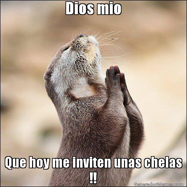 ElMuellecito's tweet photo. Y es el mejor día para ser caritativo con tu compañero en El Muellecito. http://t.co/ZdP0p3nWV3