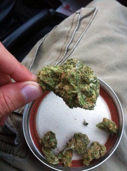 OneReincarnated's tweet photo. @purpleThizzle mango kush. 5Gram Nug http://t.co/rs6marmig1