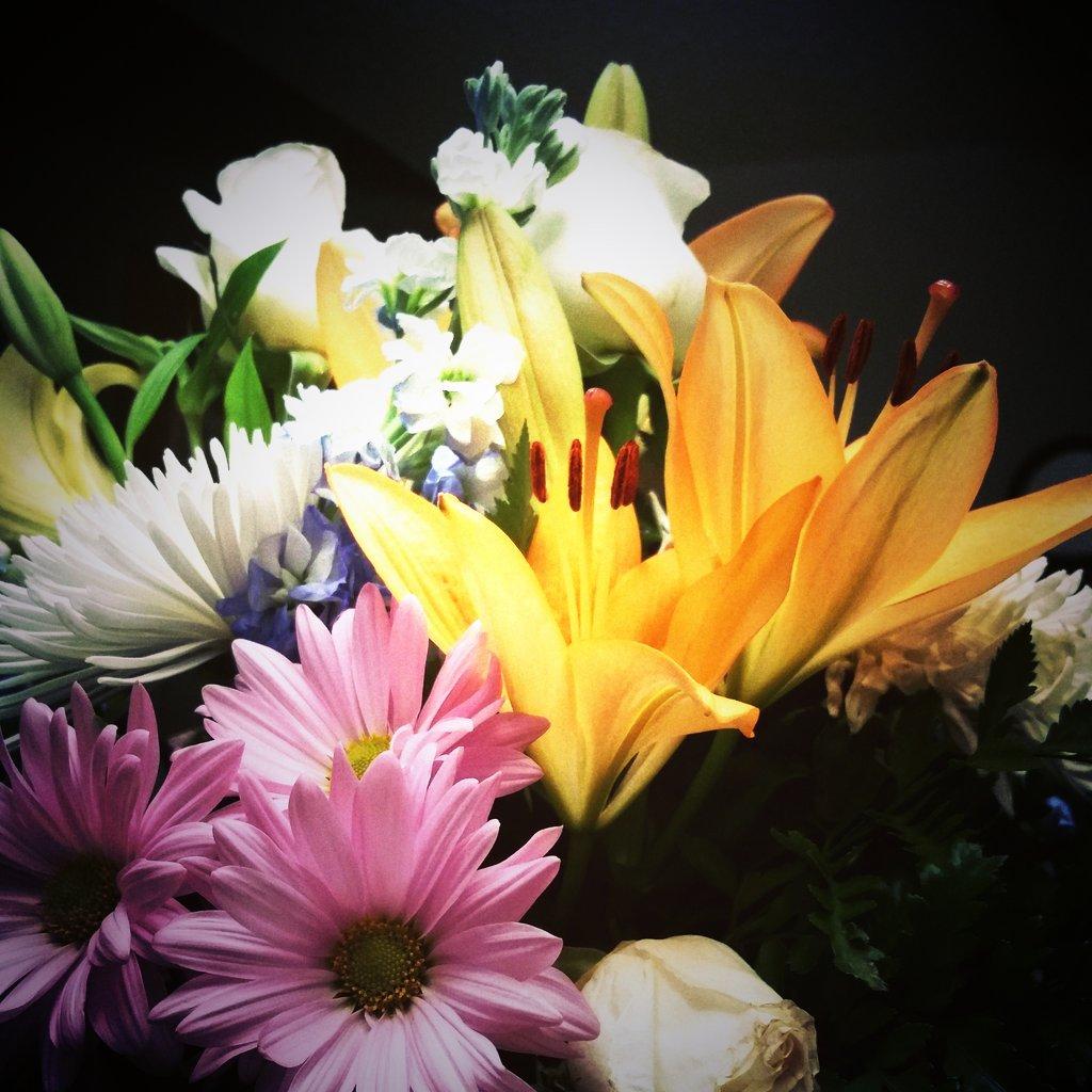 hemostatbrat's tweet photo. Homemade soup and a beautiful bouquet. Warms my heart. #simplethings #drbae http://t.co/QhXhd8cC9v