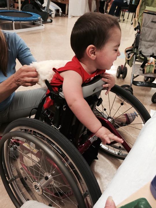 ilivigni's tweet photo. http://t.co/7oCZtVgfE8

Spinal Muscular Atrophy is a terrible genetic illness for which there is no cure, yet. http://t.co/CUjJA7OZcc