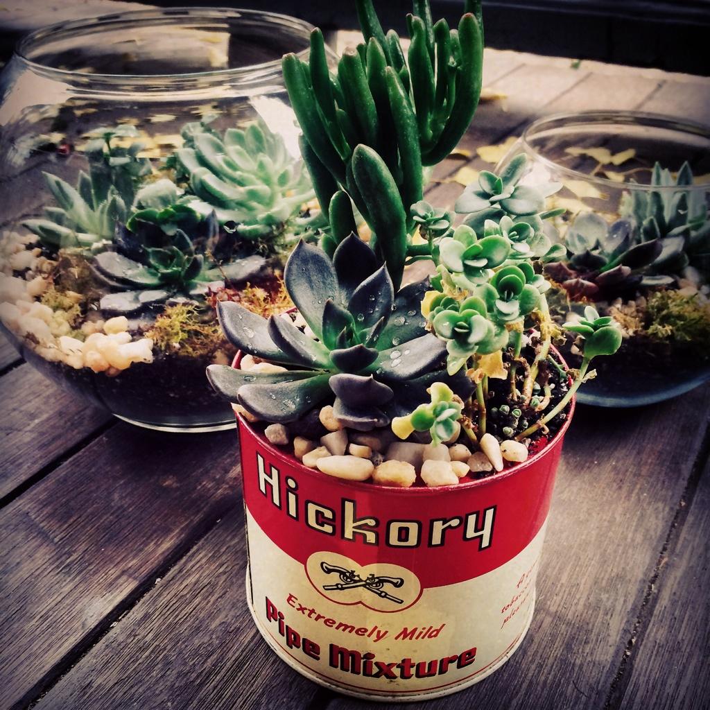 meredith greimel tweet media