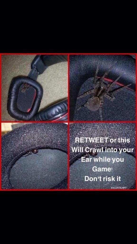 GigglesOG's tweet image. RT/FOLLOW NOW,
Wouldn't risk it!