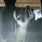 Photo by Advanced Treestands (@advancedstands)