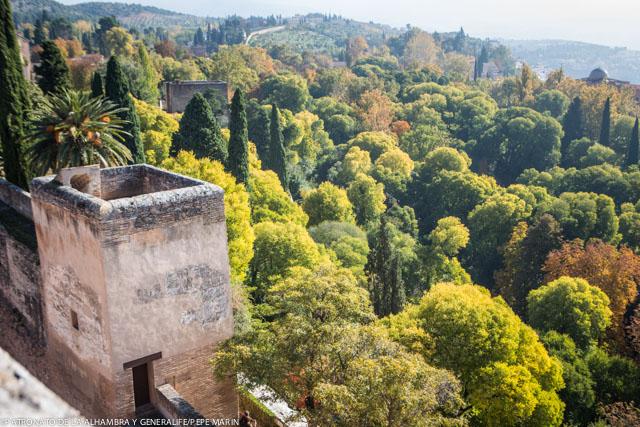 Alhambra de Granada tweet media