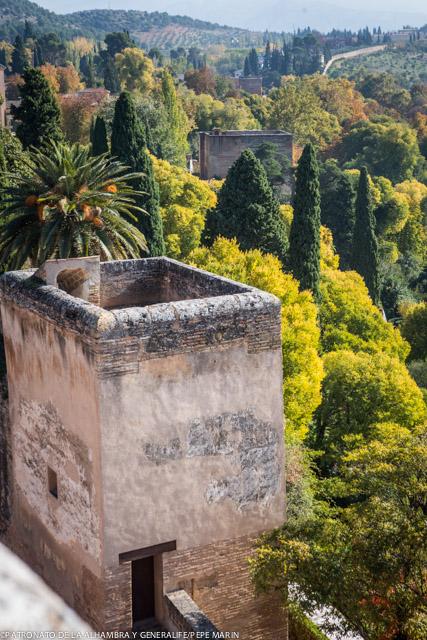 Alhambra de Granada tweet media