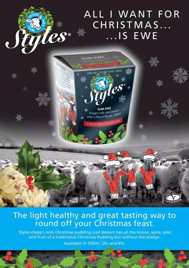 stylesicecream's tweet image. We've heard @Harry_Styles loves Christmas Pudding Ice Cream surely he needs to try ours! What do you think? ;)