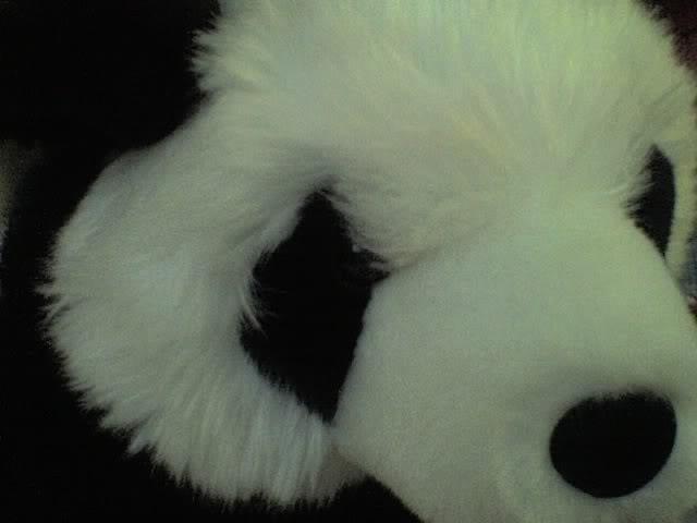 PandaAdGroup's tweet photo. We Panda To Your Needs! Optimize Your Business Exposure With The PANDA AD GROUP Top Tier Search Results Advantage. http://t.co/jXqtQXJlnG