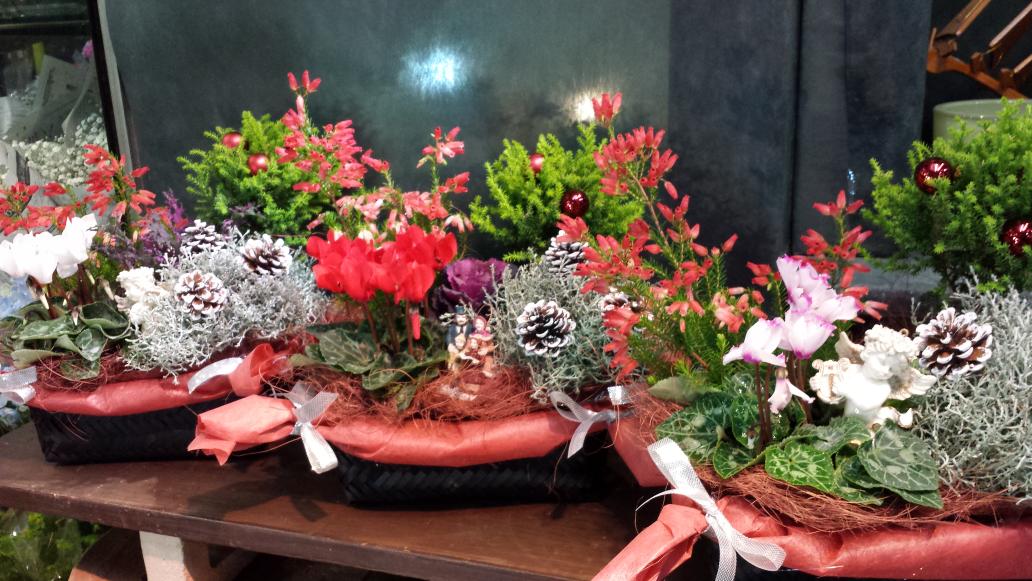 有限会社トオヤマフルーツ 花屋 Floristakaaki Twitter 有限会社トオヤマフルーツ 花屋 Floristakaaki Twitter