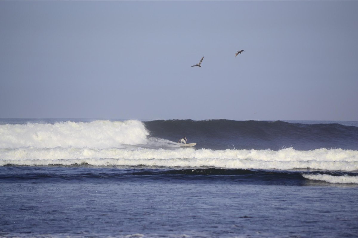 KenOtter's tweet photo. Surfing--the liquid art of presencing. http://t.co/pmEJuZLneN