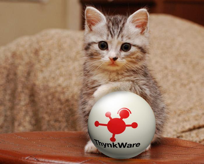 ThynkWare's tweet photo. Let's get the ball rolling for @ThynkWare - contribute now! http://t.co/w1QRd3t5IT #kitten #cute #funding #ThynkWare http://t.co/vMceXlIrmX