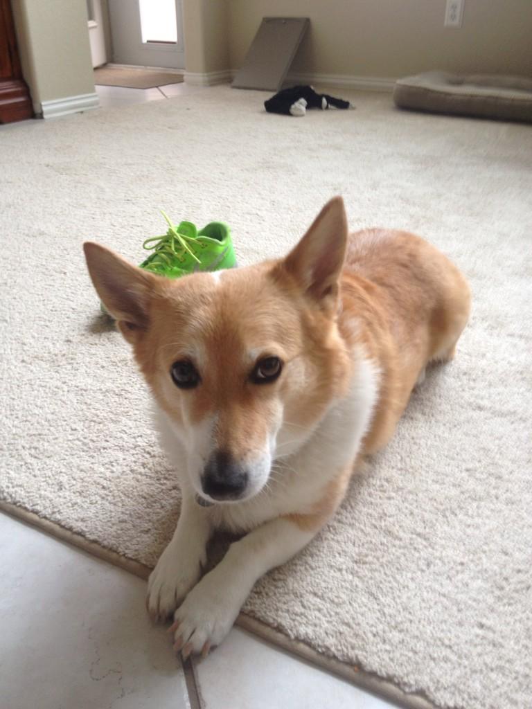 Eric (@mynameiskane) on Twitter photo 