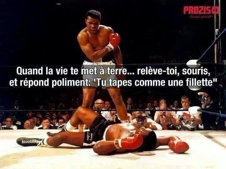 Big Sly Citation De Mohamed Ali Le Kiais Vous Souhaite Une Bonne Journee Quotes Proverbe Grenoble Sport Dojo Http T Co Mipulfgwqd Twitter