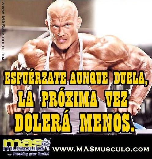 masmusculo's tweet photo. #MARTES
Esfuérzate aunque duela,
la próxima vez dolerá menos
RT! http://t.co/N6TNktjYiJ #musculo #gym #pesas #deporte http://t.co/Wo0XJeKFGm