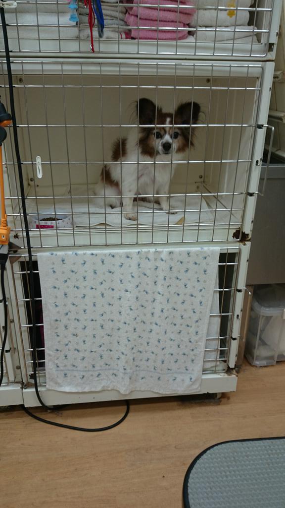 一緒に出勤（＾◇＾）