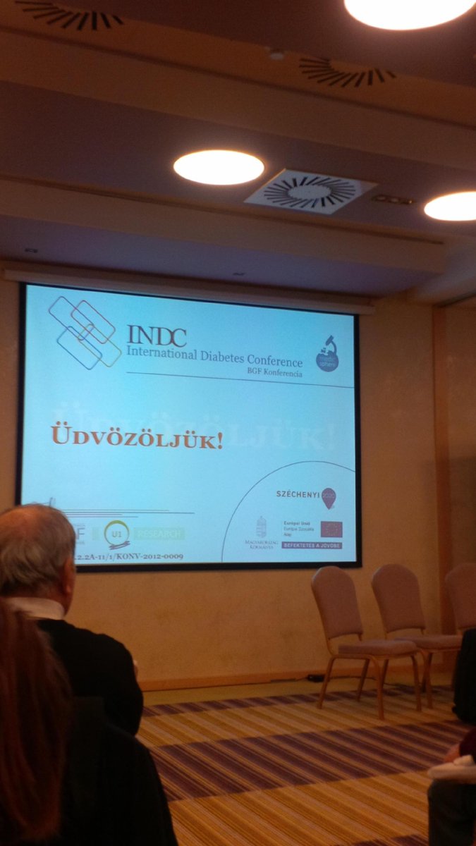 AnaPintoBorges's tweet photo. #INDC, Organizing by Budapest Business School . http://t.co/RBV7wcn3Xl