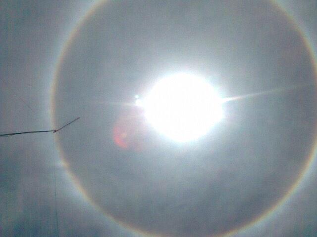 Manu Morales tweet media