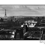 Photo by Peter Turnley (@PeterTurnley)