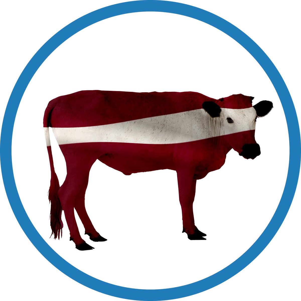 LaMuuAirginity's tweet image. Happy 96. birthday Latvia! Wish you a milk and design full the following many next years! #lamuu