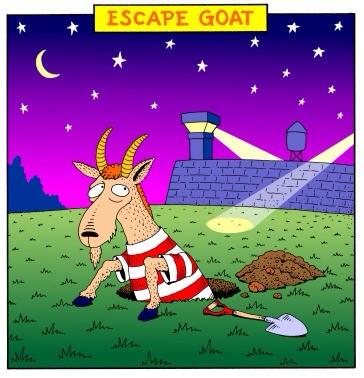 Escape goat
