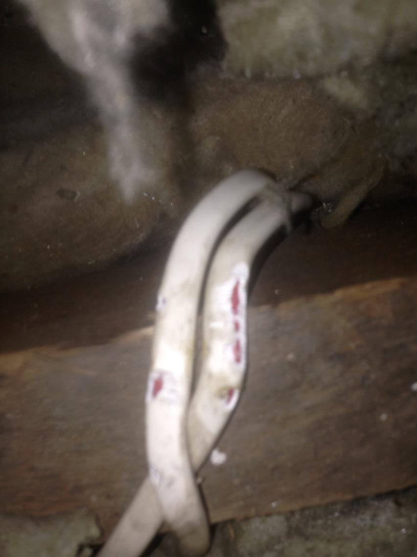 ElectricalKent's tweet image. Tuesdays call out- rodent problems...