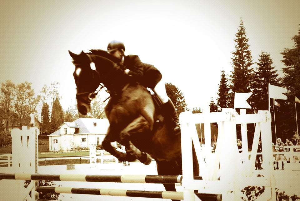 HorseSportIRL's tweet photo. “@ToriDixon_: Student Riders Nations Cup, Pompadour France!🐴🍀🏆

 @IURCA_ @TeamIRLEq  @EventingIreland http://t.co/bNiQktM16v”