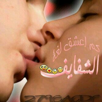 msil himo (@f7daa083cb49465) on Twitter photo 