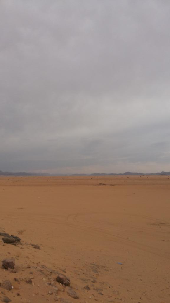 ابونوره البيشي (@saeed123381) on Twitter photo 