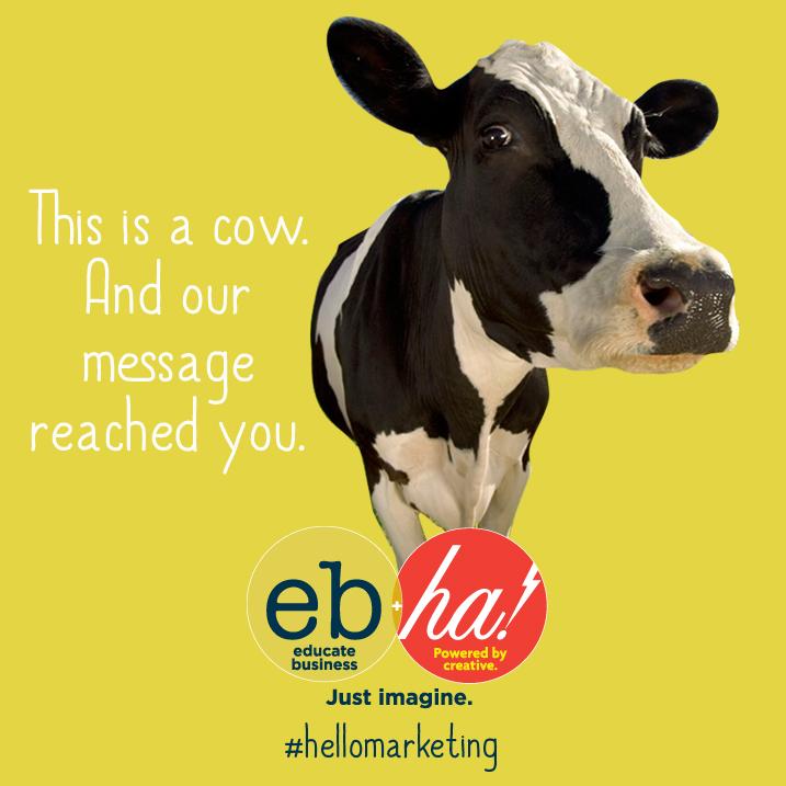 2businessmum's tweet photo. http://t.co/9Js4mRtKk5