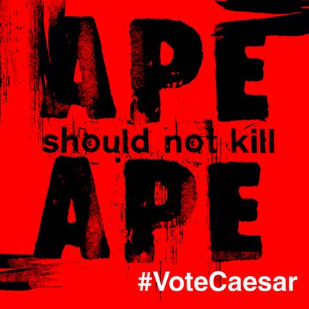 HeyUGuys's tweet photo. #VoteKoba vs. #VoteCaesar - make your choice &amp; take a stand. 24th Nov - @ApesMoviesUK out on Blu-ray. http://t.co/90wRdkQLJm