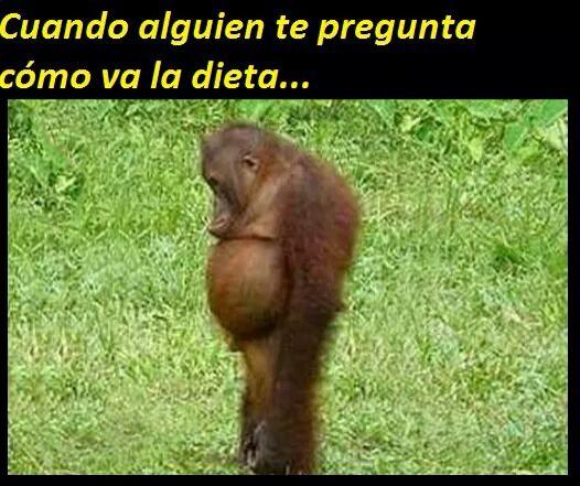 Arnold_RN20 tweet picture