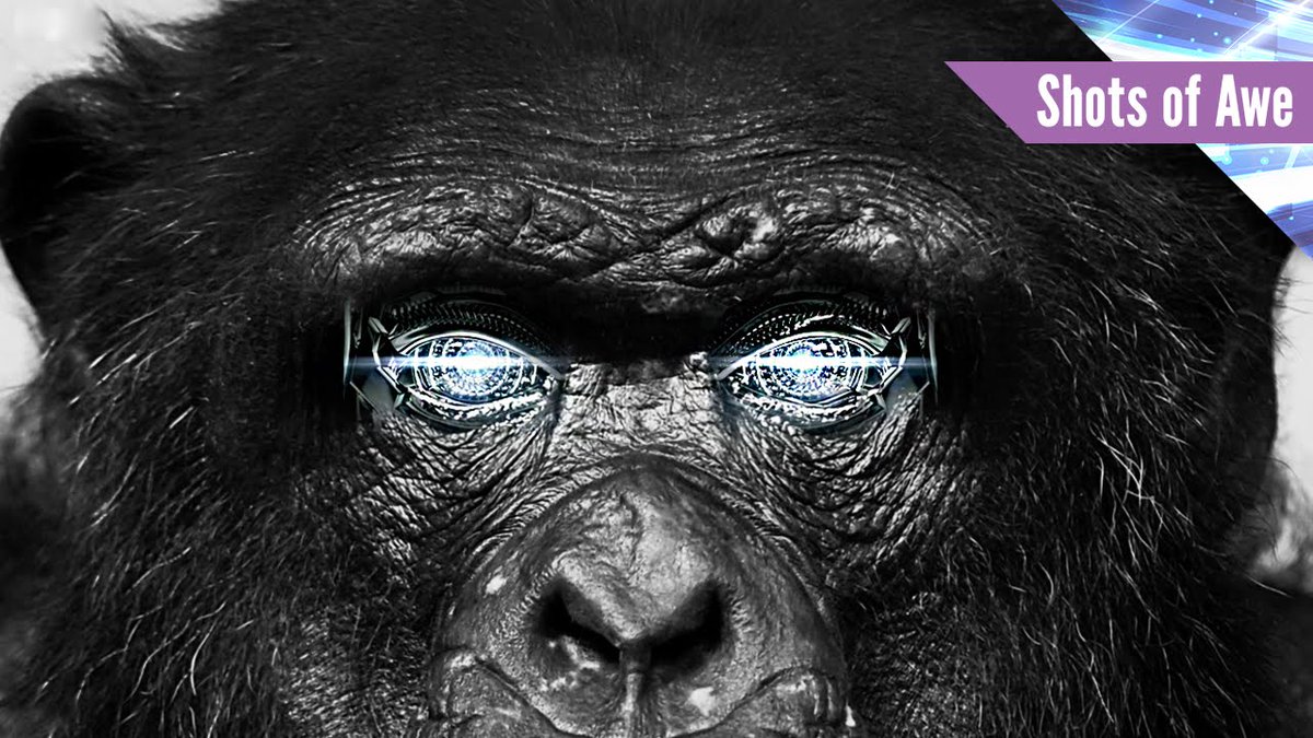 atheistolizer's tweet image. Actualizing The #HumanImagination #TerenceMcKenna #JasonSilva #KevinKelly #RayKurzweil... atheism.trendolizer.com/2014/11/actual…