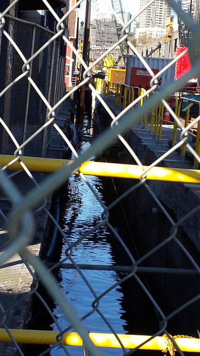 YeOldeCuriosity's tweet photo. Why isn't YOCS open to visitors? This photo explains it all! Our sidewalk is a canal. Venice, anyone? till 7/15. http://t.co/443V9ntlOe