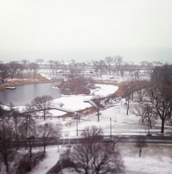 JDVHotels's tweet image. A10: During the holidays, the lights are up at @lincolnparkzoo &amp;amp; @HotelLincoln gets a visit from Santa Paws! #TL_Chat