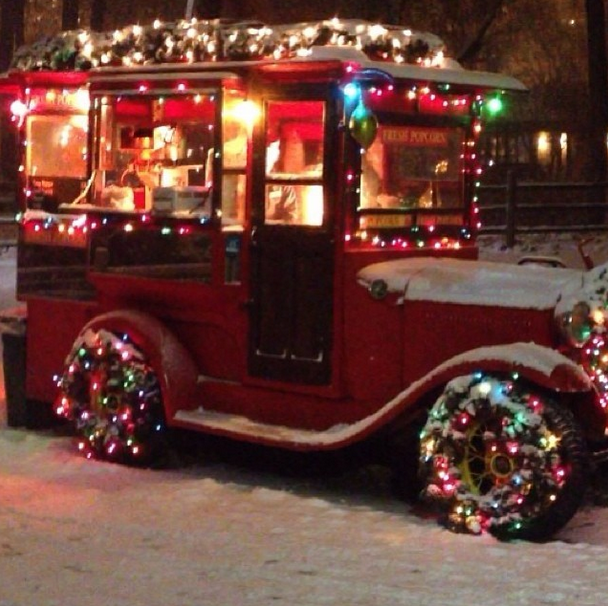 JDVHotels's tweet image. A10: During the holidays, the lights are up at @lincolnparkzoo &amp;amp; @HotelLincoln gets a visit from Santa Paws! #TL_Chat