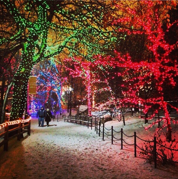 JDVHotels's tweet image. A10: During the holidays, the lights are up at @lincolnparkzoo &amp;amp; @HotelLincoln gets a visit from Santa Paws! #TL_Chat