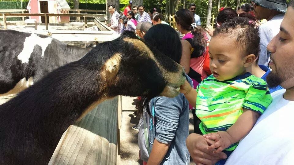 WillManWay's tweet photo. @LittleDebbie my grandson loves feeding animals at Cape May Zoo. #DiveIntoFun http://t.co/u8WNHRMrjE